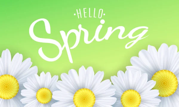 Hola frase de primavera. Fondo estacional. Las manzanillas florecen sobre un fondo verde. Ilustración vectorial — Vector de stock