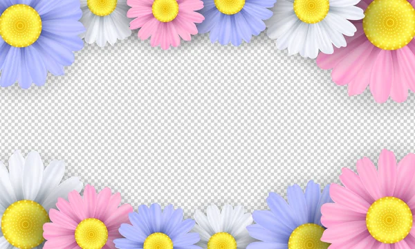 Mevsimlik arka plan. Saydam bir arka plan üzerinde renkli papatya çiçeği. Tasarım şablonu. Vektör çizim — Stok Vektör