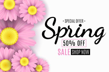 Bahar satışı büyük başlığı. Pembe çiçekler papatya. Mevsimlik poster. Özel Fırsat. Vektör çizim