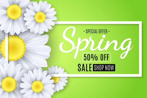 Banner de venda de primavera. Flores brancas de camomila em um fundo verde claro. Cartaz sazonal. Oferta especial. Ilustração vetorial —  Vetores de Stock