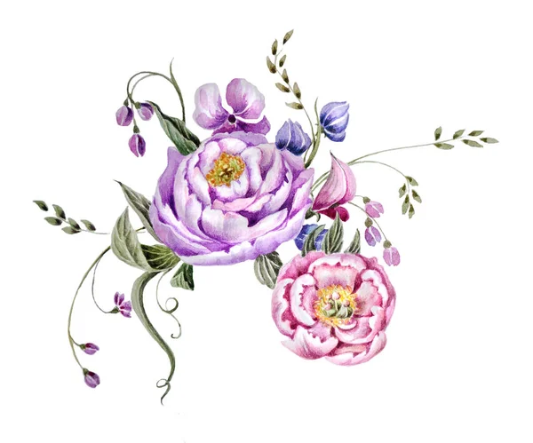 Ilustração Aquarela Decorativa Com Flores Peônias Ervas Isoladas Fundo Branco — Fotografia de Stock