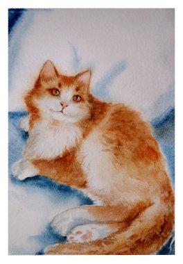 Şirin Kırmızı Kedi