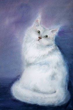 kabarık beyaz kedi