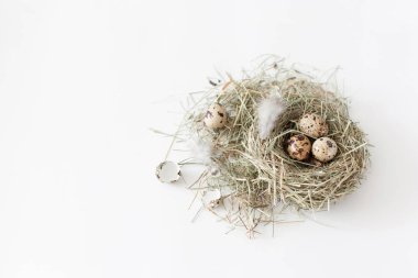 Paskalya dekorasyon bıldırcın yumurtası kuş yuvası metin için yer ile beyaz bir arka plan üzerinde yalan
