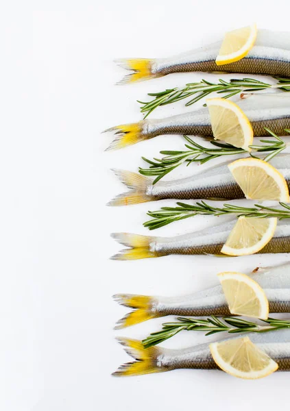 Pescado de agua salada olía marinado con romero y limón sobre un fondo blanco, cocina, luz del día — Foto de Stock
