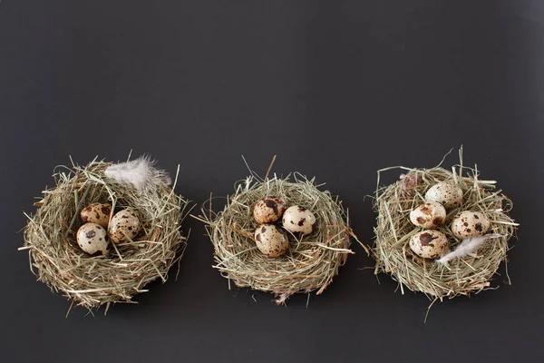 Easter decoration, three bird nests with quail eggs with chicken feather on a black background. Daylight, horizontal image. — Stock Photo, Image