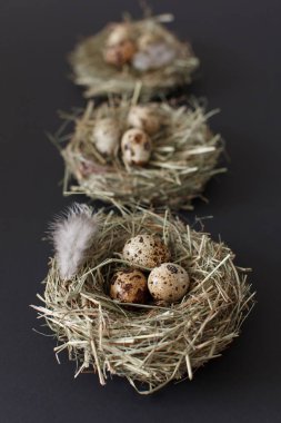 Paskalya dekorasyon, tavuk bıldırcın yumurtası ile üç kuş yuva