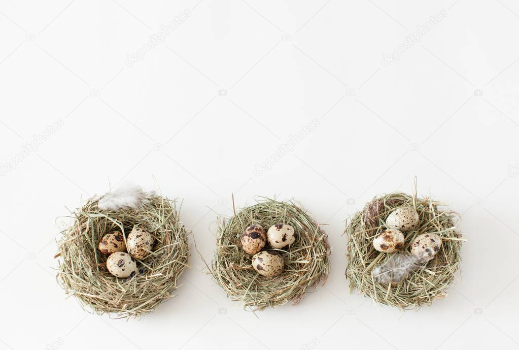 Easter decoration, three bird nests with quail eggs with chicken