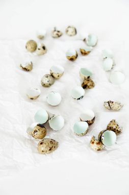 Yumurta kabuğu ve beyaz arka plan üzerinde buruşuk kağıt üzerinde yumurta bıldırcın.