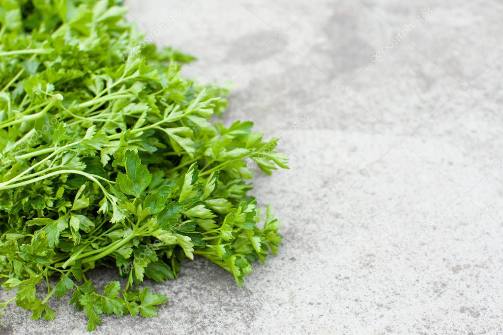 Green leaves of parsley lie on a concrete background. Open space for your text, daylight.