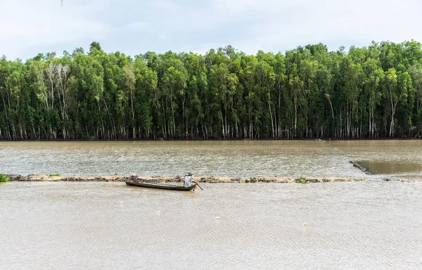 An Giang, Vietnam - Nov 29, 2014: Wide view of Tra Su flooded indigo plant forest