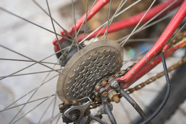 Old bike gears cassette on the wheel with chain (selective focus)