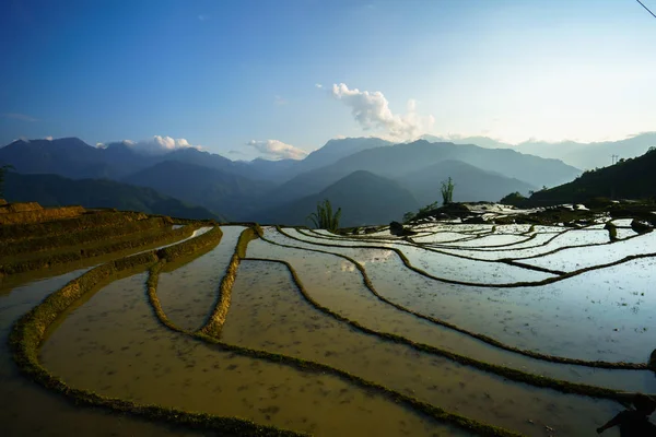 Terraced rice field in water season, the time before starting grow rice in Y Ty, Lao Cai province, Vietnam