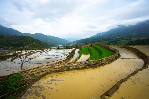 Terraced rice field in water season, the time before starting grow rice in Y Ty, Lao Cai province, Vietnam