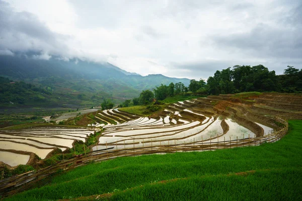 Terraced rice field in water season, the time before starting grow rice in Y Ty, Lao Cai province, Vietnam