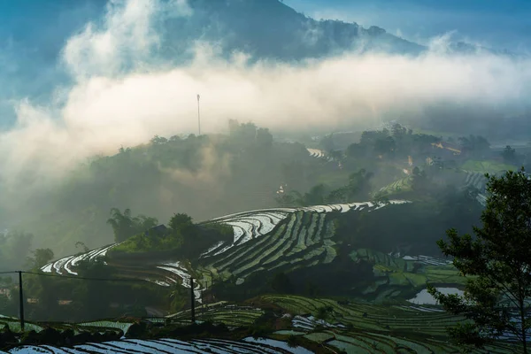 Terraced rice field in water season, the time before starting grow rice, with clouds on background in Y Ty, Lao Cai province, Vietnam