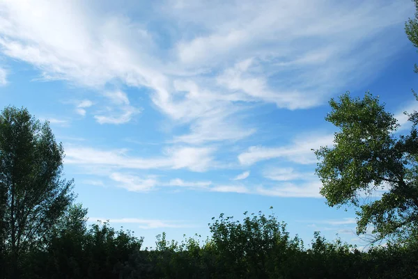 Summer Landscape White Clouds Blue Sky — Stock Photo, Image