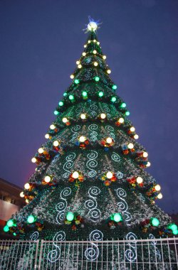 Şehrin merkez meydanında Noel ağacı