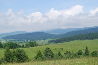 Sıcak bir yaz gününde Karpat Dağları manzarası