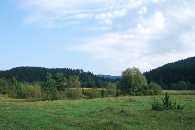 Sıcak bir yaz gününde Karpat Dağları manzarası