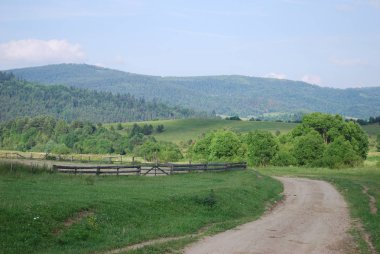 Sıcak bir yaz gününde Karpat Dağları manzarası