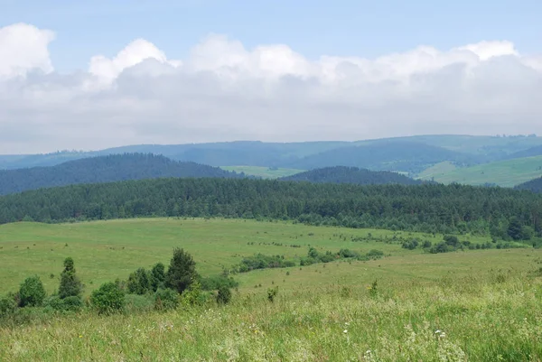 Paysage Des Montagnes Des Carpates Par Une Chaude Journée Été — Photo