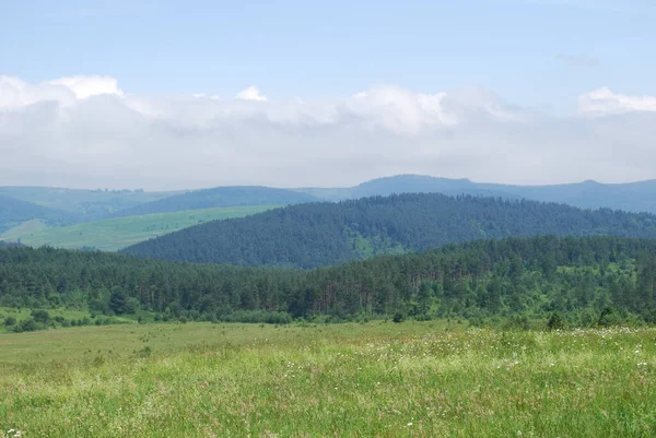 Paysage Des Montagnes Des Carpates Par Une Chaude Journée Été — Photo