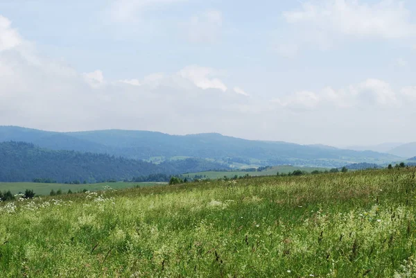 暖かい夏の日にカルパチア山脈の風景 — ストック写真