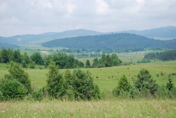 Paysage Des Montagnes Des Carpates Par Une Chaude Journée Été — Photo