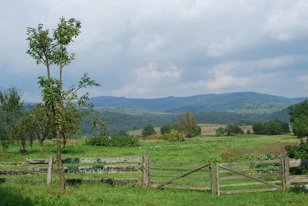 Karpaten Berglandschap Een Warme Zomerdag — Stockfoto