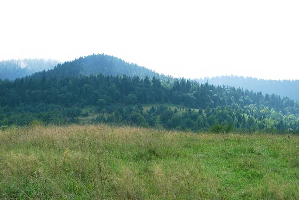 Paysage Des Montagnes Des Carpates Par Une Chaude Journée Été — Photo