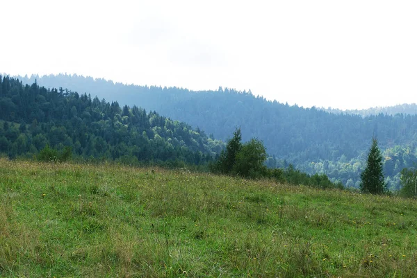 Paysage Des Montagnes Des Carpates Par Une Chaude Journée Été — Photo