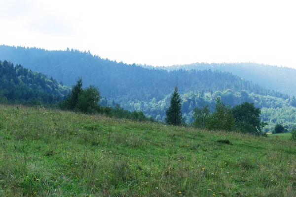 Carpathian Mountains Landscape Warm Summer Day — Stock Photo, Image