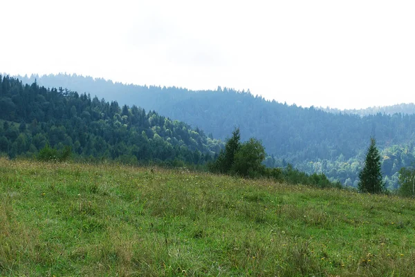 Karpatenlandschaft Einem Warmen Sommertag Stockbild