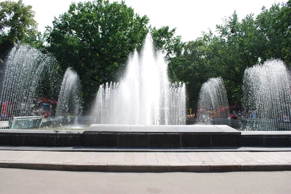 Stor Fontän Stadspark Sommardag Royaltyfria Stockfoton