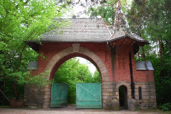 Ancient Gate Pine Forest — Stock Photo, Image