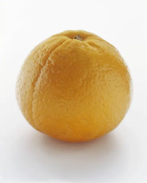 Testy pomarańczowy zbliżenie — Zdjęcie stockowe