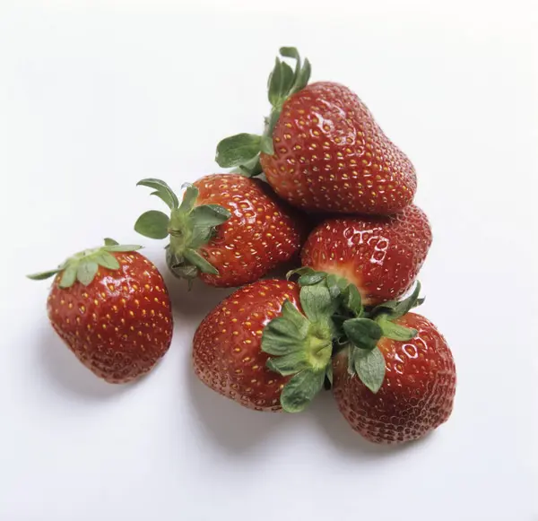 草莓叶 — 图库照片