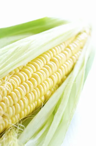 Corn on cob with husks — Stock Photo, Image