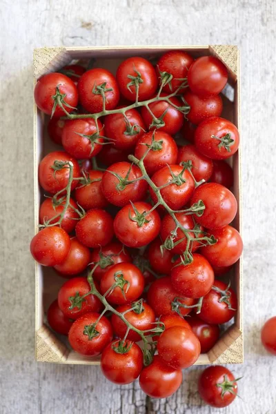 Pomodori freschi di vite in cassa — Foto Stock