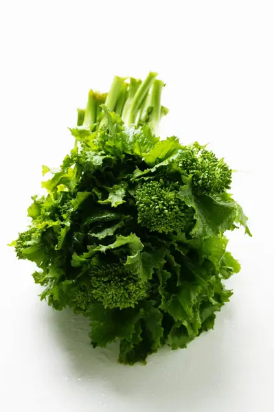 Green Broccoli rabe — Stock Photo, Image