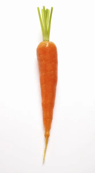 Carota matura fresca — Foto Stock