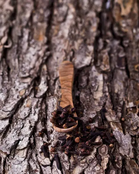 Cloves in wooden spoon — Stock Photo, Image