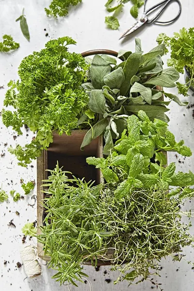 Fresh herbs in wooden crate — Stock Photo, Image
