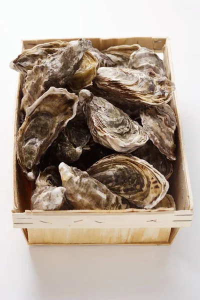 Oesters in een krat, close-up — Stockfoto