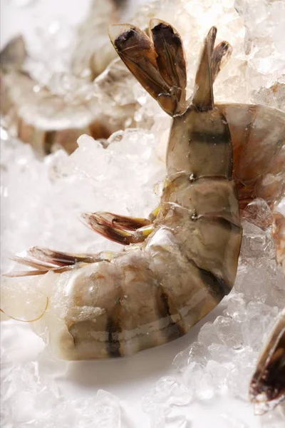 Langostinos sin cabeza — Foto de Stock