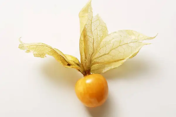 Physalis ovoce s lusku — Stock fotografie