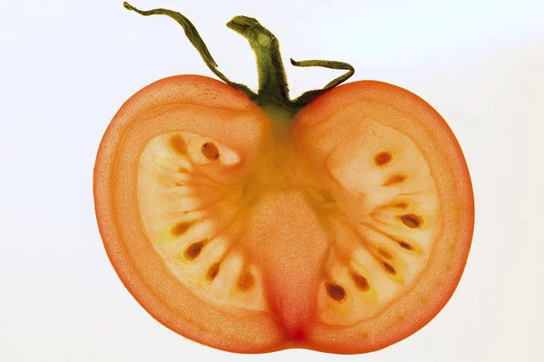 Tomatenscheibe mit Stiel — Stockfoto