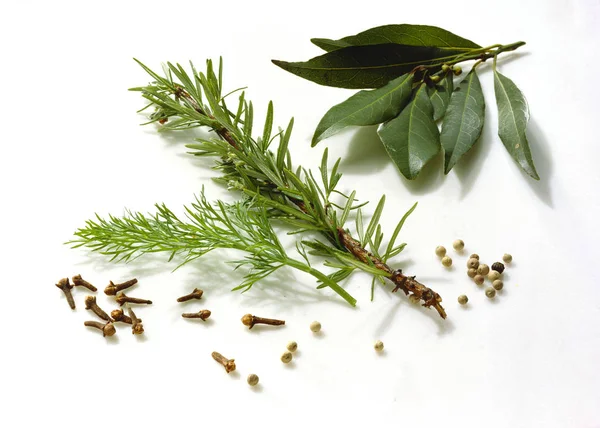 Fresh Herbs and Spices — Stock Photo, Image