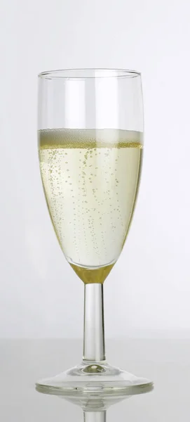 冷的香槟杯 — 图库照片